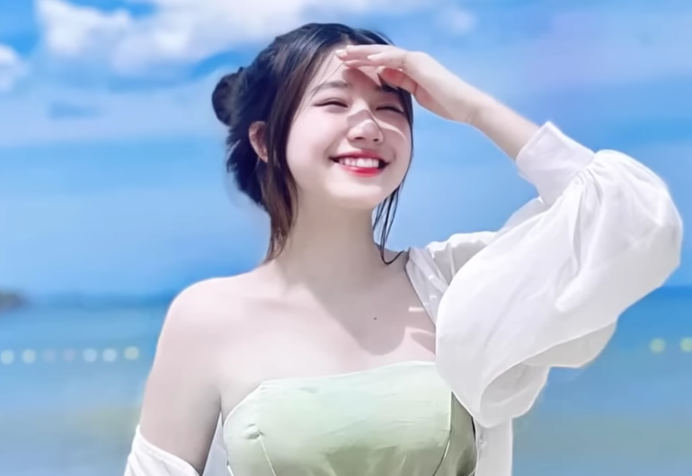 lĩnh vực hoạt động
